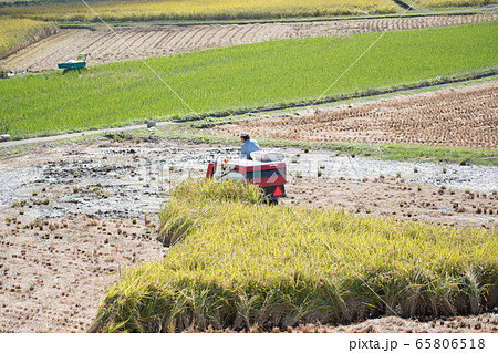 トラクター 65806518