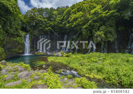 静岡県　白糸の滝　富士宮市 65806582