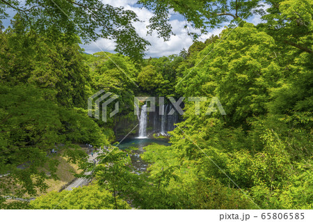 静岡県 白糸の滝 富士宮市 静岡県 白糸の滝 富士宮市 65806585