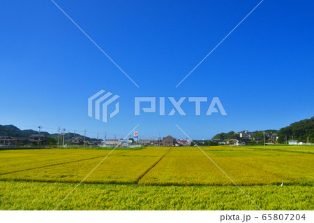 京都丹後鉄道宮豊線の車窓風景 65807204