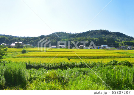 京都丹後鉄道宮豊線の車窓風景 65807207