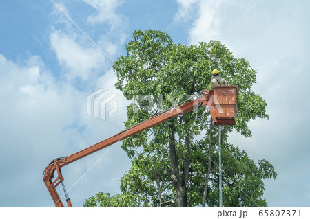 Orange Cranes to Repair Cord Orange Cranes to Repair Cord 65807371