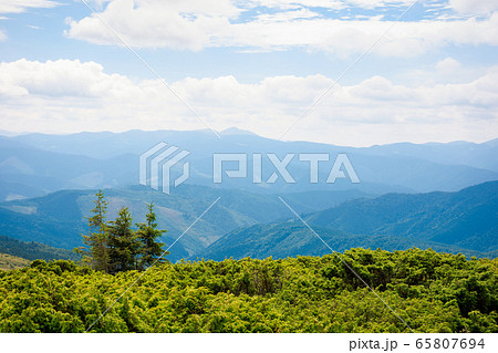 mountain landscape with tree on the hill. 65807694