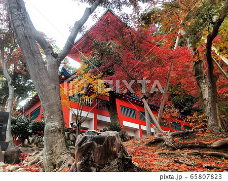 福祥寺(須磨寺) 福祥寺(須磨寺) 65807823