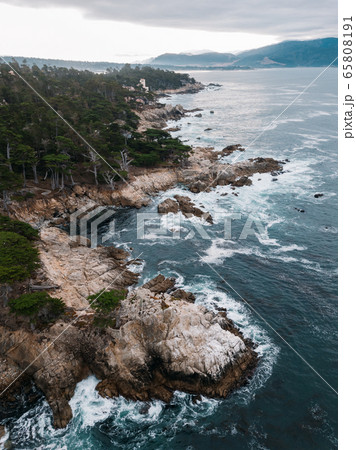 Lone Cypress tree scenic aerial view along famous 17 Mile Drive road in Monterey. 65808191