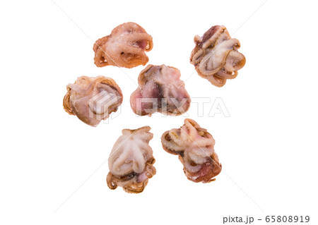 Small frozen octopus isolated on white background 65808919