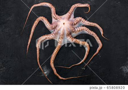 Raw large octopus on black background 65808920