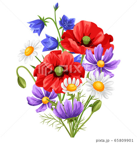 Bouquet With Summer Flowers のイラスト素材