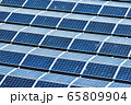 Photovoltaic system polluted by bird droppings 65809904