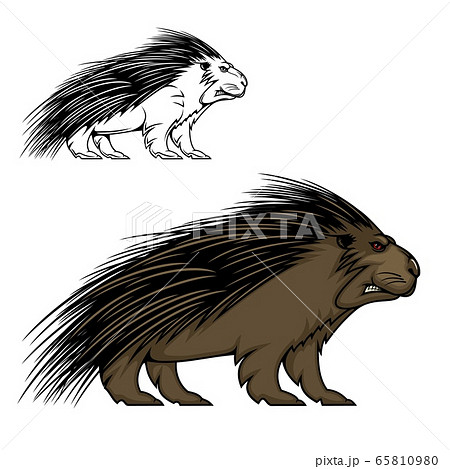 Porcupine or hedgehog vector mascot animal 65810980