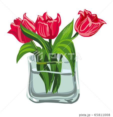 pink tulips 65811008