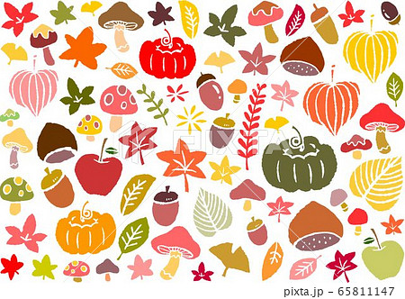 秋のイメージの植物たち 65811147