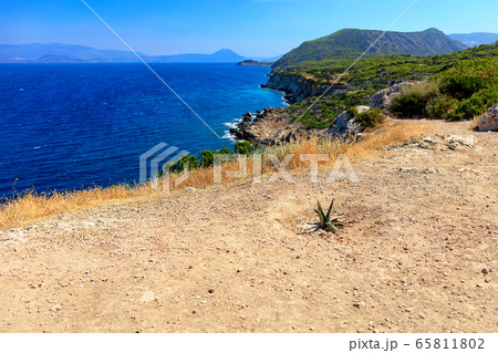 A prickly cactus grows on a red-hot trail running 65811802