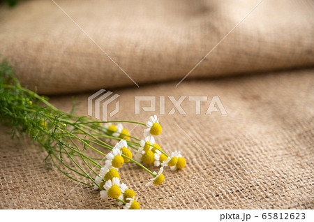 麻布とカモミールの花 65812623