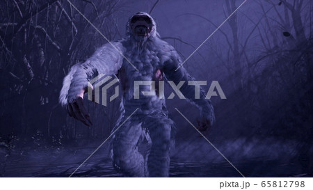Bigfoot runs through a misty mystical forest at night. The Yeti is walking in a dark scary forest. Illustration for fabulous, fiction or fantasy backgrounds. 3D Rendering. Bigfoot runs through a misty mystical forest at night. The Yeti is walking in a dark scary forest. Illustration for fabulous, fiction or fantasy backgrounds. 3D Rendering. 65812798