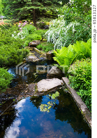 Awe day at May - Green plants in Japanese garden and stream Awe day at May - Green plants in Japanese garden and stream 65813127