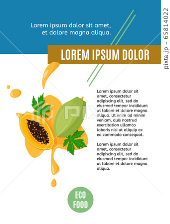 Modern design template for article, ads or promotion. Juicy illustration of papaya with sample text. 65814022