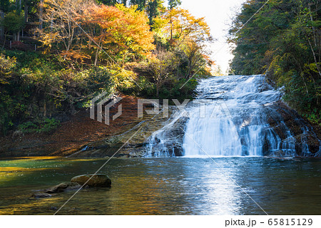 養老渓谷 秋の粟又の滝 （千葉県） 2019年12月撮影 65815129