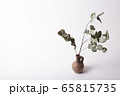 Life style inspiration. Stock photo with empty space for text on the left. Vase and dry Eucalyptus Populus branches isolated on white background. Dried branches in a clay vessel. 65815735