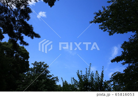 空 空 65816053