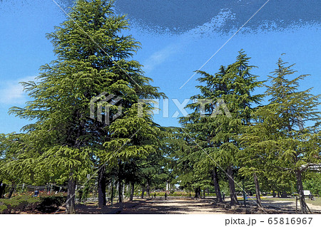 ざらざら仕上・鶴舞公園点景 65816967
