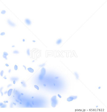 Dark blue flower petals falling down. Alluring rom Dark blue flower petals falling down. Alluring rom 65817822