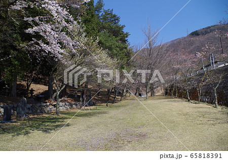 旧中山道和田峠の水戸浪人塚(長野県下諏訪町) 旧中山道和田峠の水戸浪人塚(長野県下諏訪町) 65818391