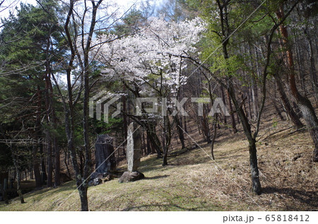 旧中山道和田峠の水戸浪人塚(長野県下諏訪町) 旧中山道和田峠の水戸浪人塚(長野県下諏訪町) 65818412