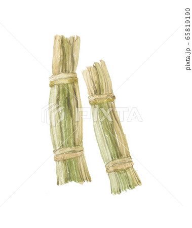 チクジョ 竹筎 チクジョ 竹筎 65819190