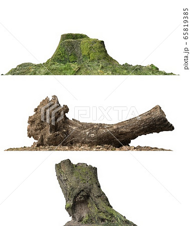 Stump dead tree isolated on white 3d illustration 65819385