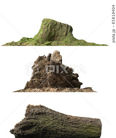Stump dead tree isolated on white 3d illustration 65819404