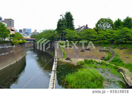 東京都北区滝野川にある、音無もみじ緑地（おとなしもみじりょくち） 65819858