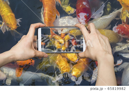 Taking pictures on mobile smart phone Colorful 65819982