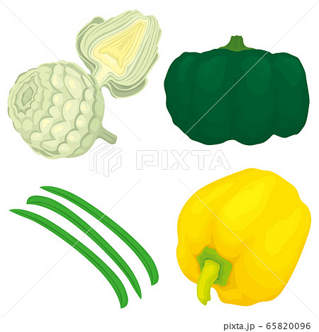 野菜　アーティチョーク　カボチャ　パプリカ　インゲン豆 65820096