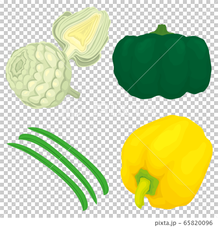 野菜　アーティチョーク　カボチャ　パプリカ　インゲン豆 65820096