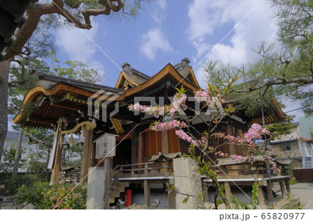 方位を司る星神を祀る大将軍八神社 方位を司る星神を祀る大将軍八神社 65820977