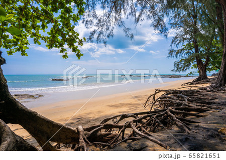 no people on Nang Thong Beach in Khaolak 65821651