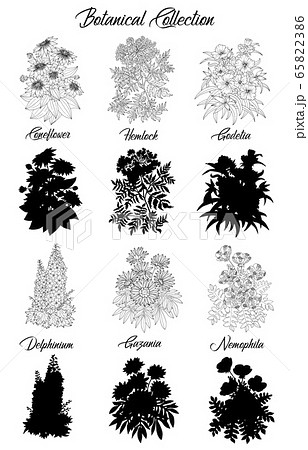 Set Of Black And White Outline Flowers Stock Illustration