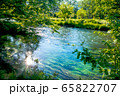 森の小川 65822707