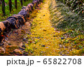 苔むした道 65822708