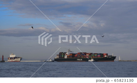 シーサイドコスモ（コスモスクエア海浜緑地）から見た大阪港　貨物船の入港風景 65823130