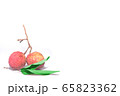 two fresh red Lychee with green leaf isolated on white background empty copy space 65823362