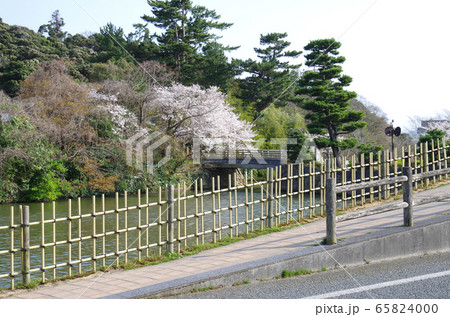 松江城の堀端の景色 松江城の堀端の景色 65824000