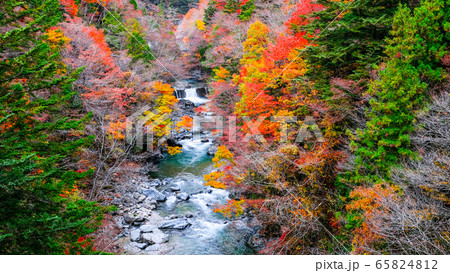 付知峡(秋) 付知峡(秋) 65824812