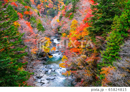 付知峡(秋) 付知峡(秋) 65824815