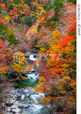 付知峡(秋) 付知峡(秋) 65824835