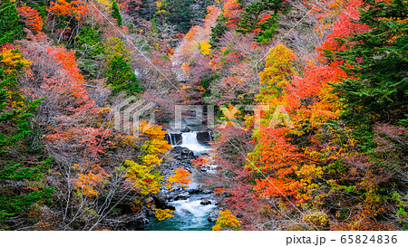 付知峡(秋) 付知峡(秋) 65824836
