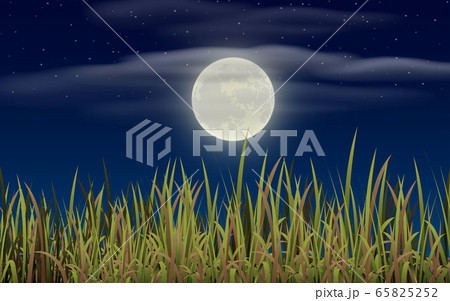 landscape of meadow in full moon night landscape of meadow in full moon night 65825252