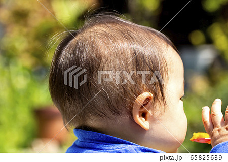 赤ちゃんの後頭部 または赤ちゃんの横顔の写真素材