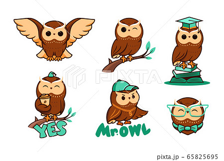 Set of cute owls in vector. Collection bird logos, cartoon character, logotypes, badges, labels, stickers, emblems 65825695